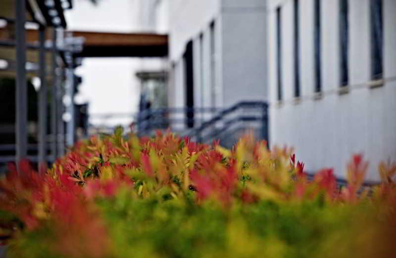 Apartamentos Vertice Sevilla Aljarafe Bormujos Exterior foto